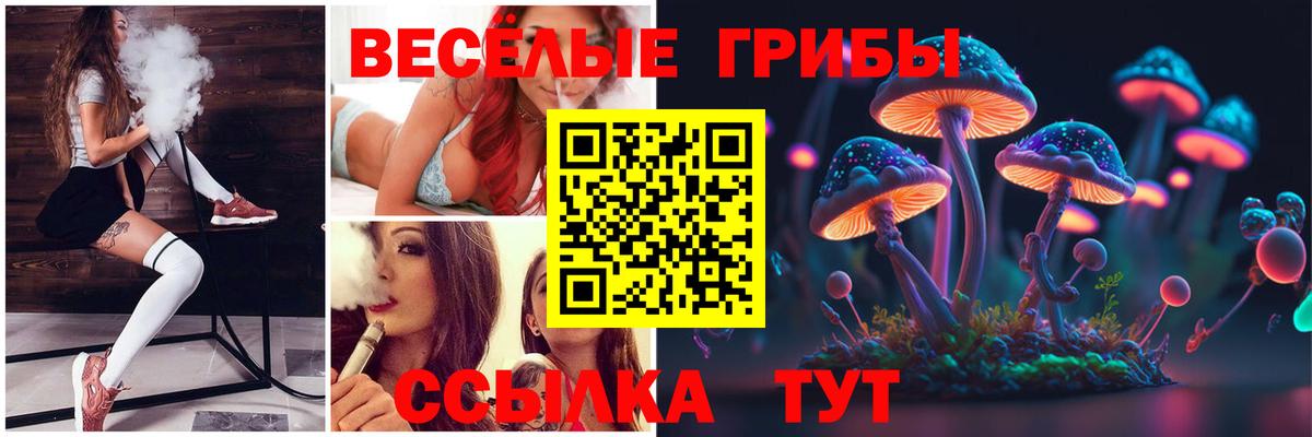 где продают   Вход с VPN  Партизанск  Псилоцибиновые грибы Psilocybine cubensis 